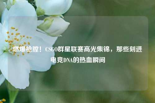 燃爆枪膛！CSGO群星联赛高光集锦，那些刻进电竞DNA的热血瞬间