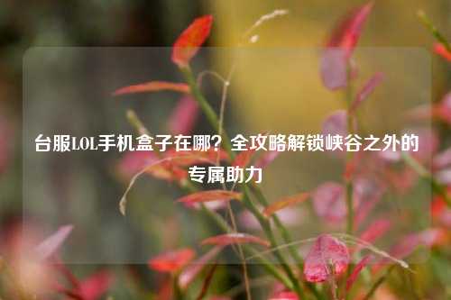台服LOL手机盒子在哪？全攻略解锁峡谷之外的专属助力