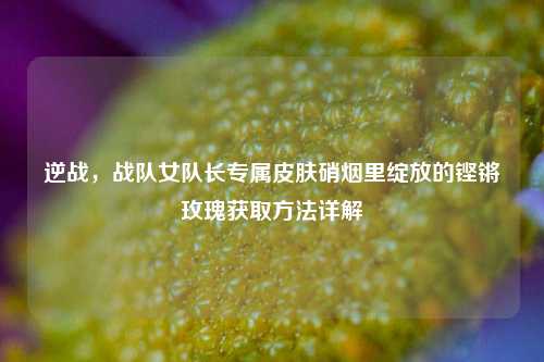 逆战，战队女队长专属皮肤硝烟里绽放的铿锵玫瑰获取方法详解
