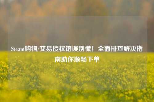 Steam购物/交易授权错误别慌！全面排查解决指南助你顺畅下单