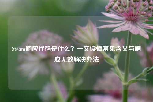Steam响应代码是什么？一文读懂常见含义与响应无效解决办法