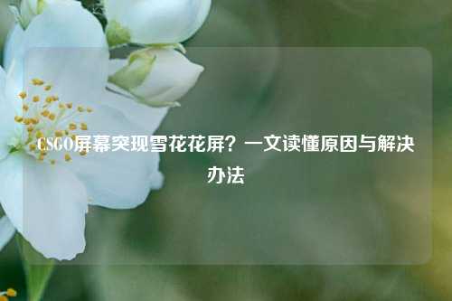 CSGO屏幕突现雪花花屏？一文读懂原因与解决办法