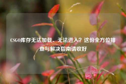 CSGO库存无法加载、无法进入？这份全方位排查与解决指南请收好