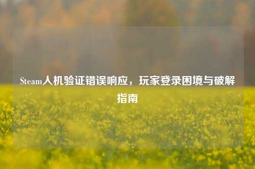 Steam人机验证错误响应，玩家登录困境与破解指南
