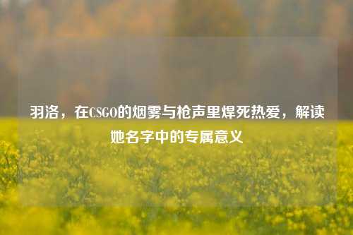羽洛，在CSGO的烟雾与枪声里焊死热爱，解读她名字中的专属意义