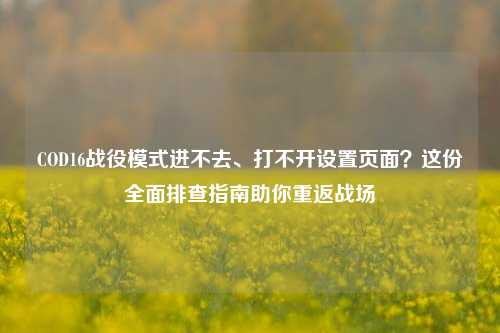 COD16战役模式进不去、打不开设置页面？这份全面排查指南助你重返战场