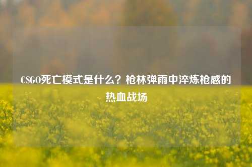 CSGO死亡模式是什么？枪林弹雨中淬炼枪感的热血战场