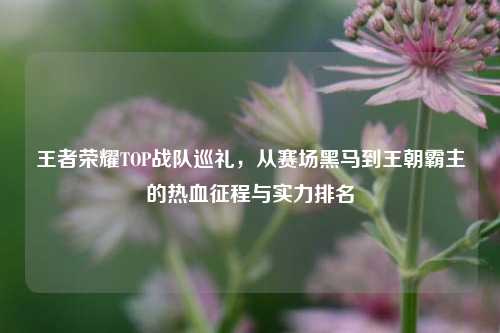 王者荣耀TOP战队巡礼,从赛场黑马到王朝霸主的热血征程与实力排名