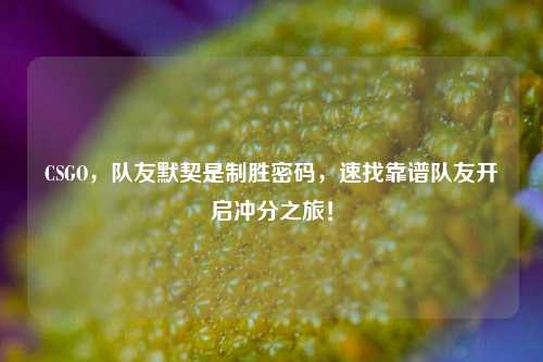 CSGO,队友默契是制胜密码,速找靠谱队友开启冲分之旅!