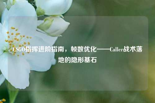CSGO指挥进阶指南,帧数优化——Caller战术落地的隐形基石