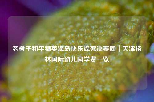 老橙子和平精英海岛快乐焊死决赛圈｜天津格林国际幼儿园学费一览
