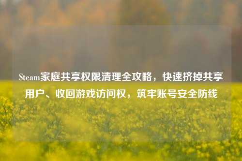 Steam家庭共享权限清理全攻略，快速挤掉共享用户、收回游戏访问权，筑牢账号安全防线