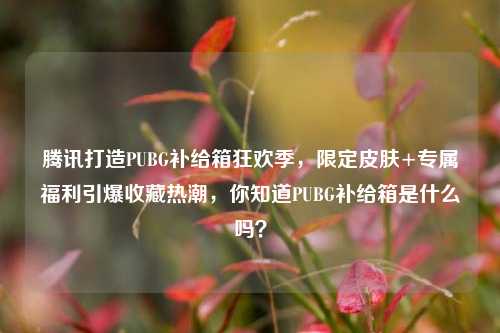 腾讯打造PUBG补给箱狂欢季，限定皮肤+专属福利引爆收藏热潮，你知道PUBG补给箱是什么吗？