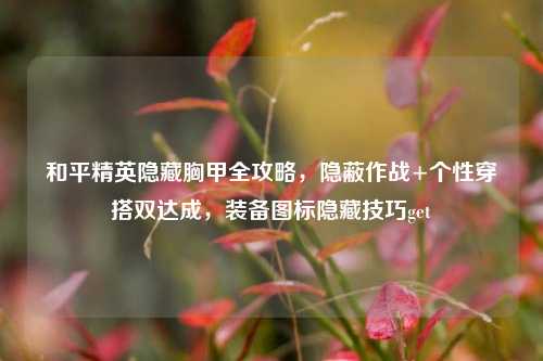 和平精英隐藏胸甲全攻略，隐蔽作战+个性穿搭双达成，装备图标隐藏技巧get