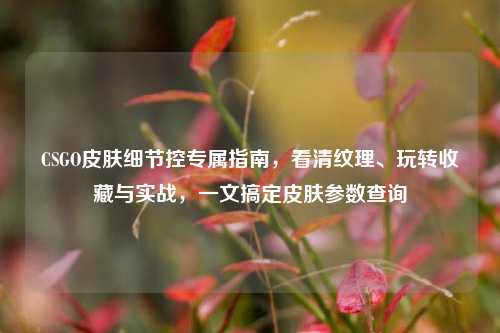 CSGO皮肤细节控专属指南,看清纹理、玩转收藏与实战,一文搞定皮肤参数查询