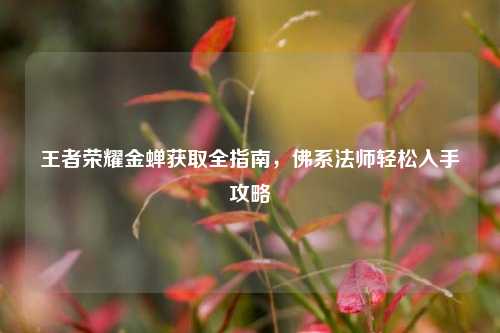 王者荣耀金蝉获取全指南,佛系法师轻松入手攻略