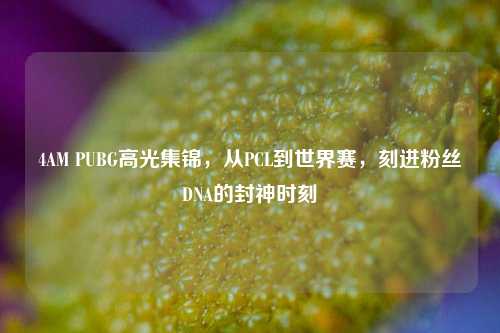 4AM PUBG高光集锦,从PCL到世界赛,刻进粉丝DNA的封神时刻