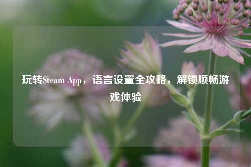 玩转Steam App，语言设置全攻略，解锁顺畅游戏体验