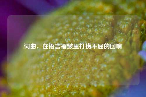 词曲,在语言褶皱里打捞不屈的回响