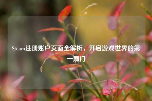 Steam注册账户页面全解析，开启游戏世界的第一扇门