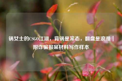 锅女士的CSGO江湖，背锅是常态，翻盘是浪漫｜附诈骗报案材料写作样本