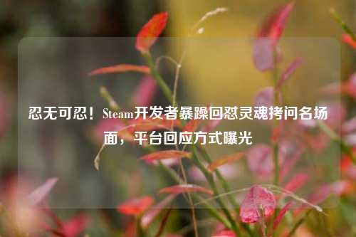 忍无可忍！Steam开发者暴躁回怼灵魂拷问名场面，平台回应方式曝光