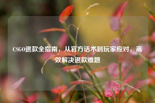 CSGO退款全指南，从官方话术到玩家应对，高效解决退款难题