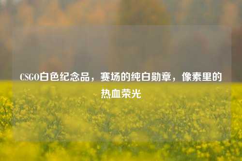 CSGO白色纪念品，赛场的纯白勋章，像素里的热血荣光