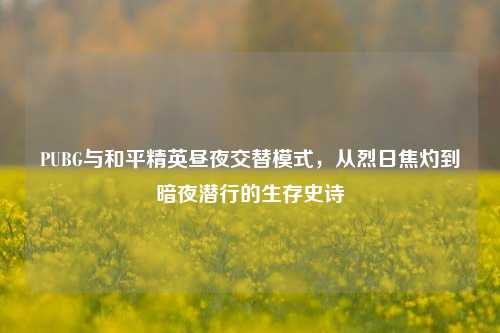 PUBG与和平精英昼夜交替模式，从烈日焦灼到暗夜潜行的生存史诗