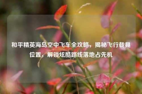 和平精英海岛空中飞车全攻略,揭秘飞行载具位置,解锁炫酷路线落地占先机