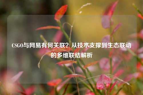 CSGO与网易有何关联？从技术支撑到生态联动的多维联结解析