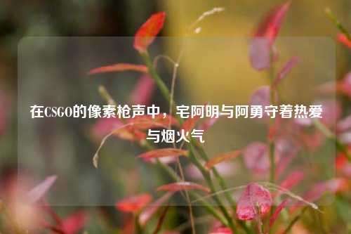 在CSGO的像素枪声中，宅阿明与阿勇守着热爱与烟火气