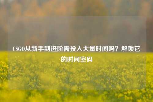 CSGO从新手到进阶需投入大量时间吗？解锁它的时间密码