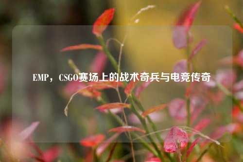 EMP，CSGO赛场上的战术奇兵与电竞传奇