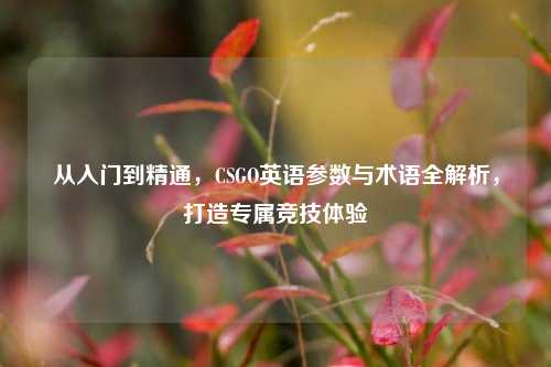 从入门到精通，CSGO英语参数与术语全解析，打造专属竞技体验