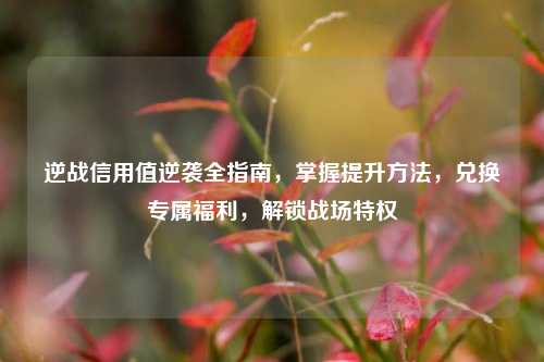 逆战信用值逆袭全指南，掌握提升方法，兑换专属福利，解锁战场特权