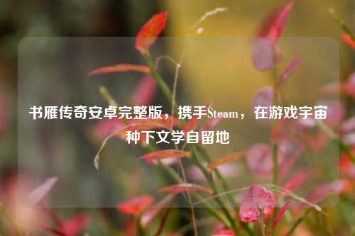 书雁传奇安卓完整版，携手Steam，在游戏宇宙种下文学自留地