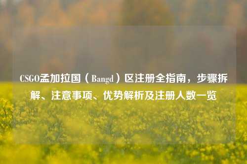 CSGO孟加拉国（Bangd）区注册全指南，步骤拆解、注意事项、优势解析及注册人数一览