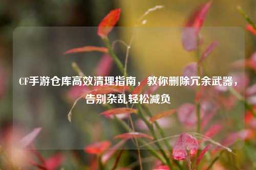 CF手游仓库高效清理指南,教你删除冗余武器,告别杂乱轻松减负