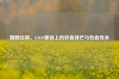 麒麟出鞘，CSGO赛场上的铁血锋芒与热血传承