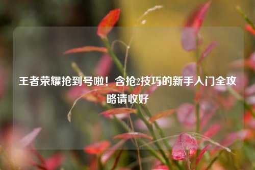 王者荣耀抢到号啦！含抢2技巧的新手入门全攻略请收好