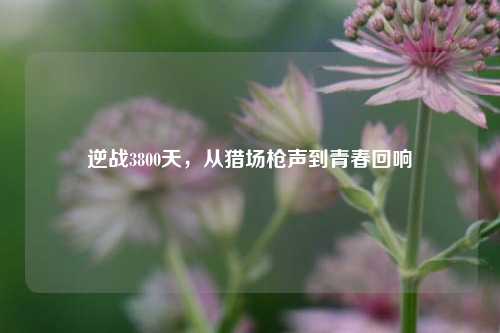 逆战3800天，从猎场枪声到青春回响