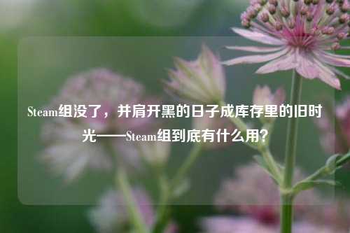 Steam组没了，并肩开黑的日子成库存里的旧时光——Steam组到底有什么用？