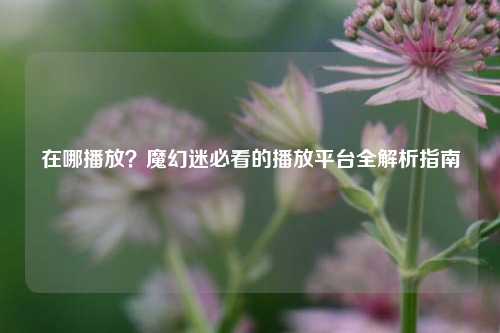 在哪播放?魔幻迷必看的播放平台全解析指南