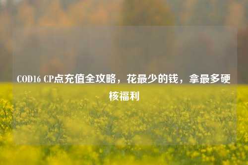 COD16 CP点充值全攻略，花最少的钱，拿最多硬核福利
