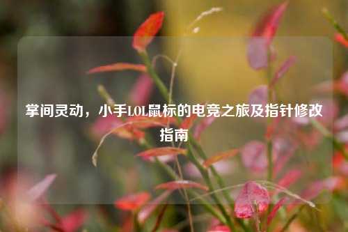 掌间灵动，小手LOL鼠标的电竞之旅及指针修改指南