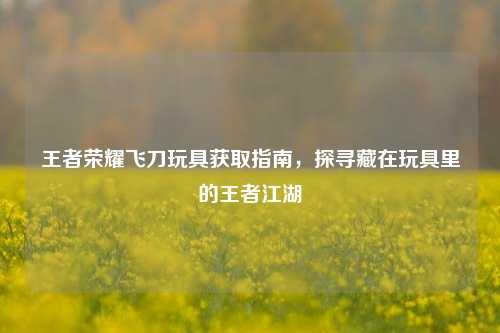 王者荣耀飞刀玩具获取指南,探寻藏在玩具里的王者江湖