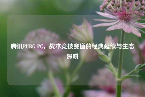 腾讯PUBG PC，战术竞技赛道的经典延续与生态深耕