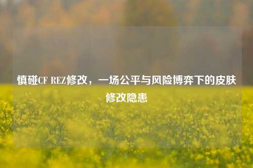 慎碰CF REZ修改，一场公平与风险博弈下的皮肤修改隐患