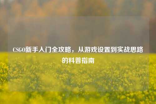 CSGO新手入门全攻略，从游戏设置到实战思路的科普指南